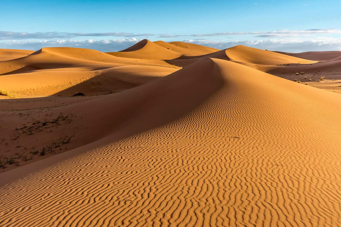 How the Sahara Inspired Our Dinnerware Set