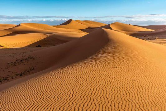 How the Sahara Inspired Our Dinnerware Set