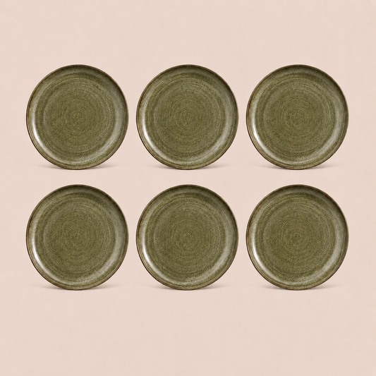 Earthlayers Earthenware Dinner Plates Set of 6 -Amazon Rainforest